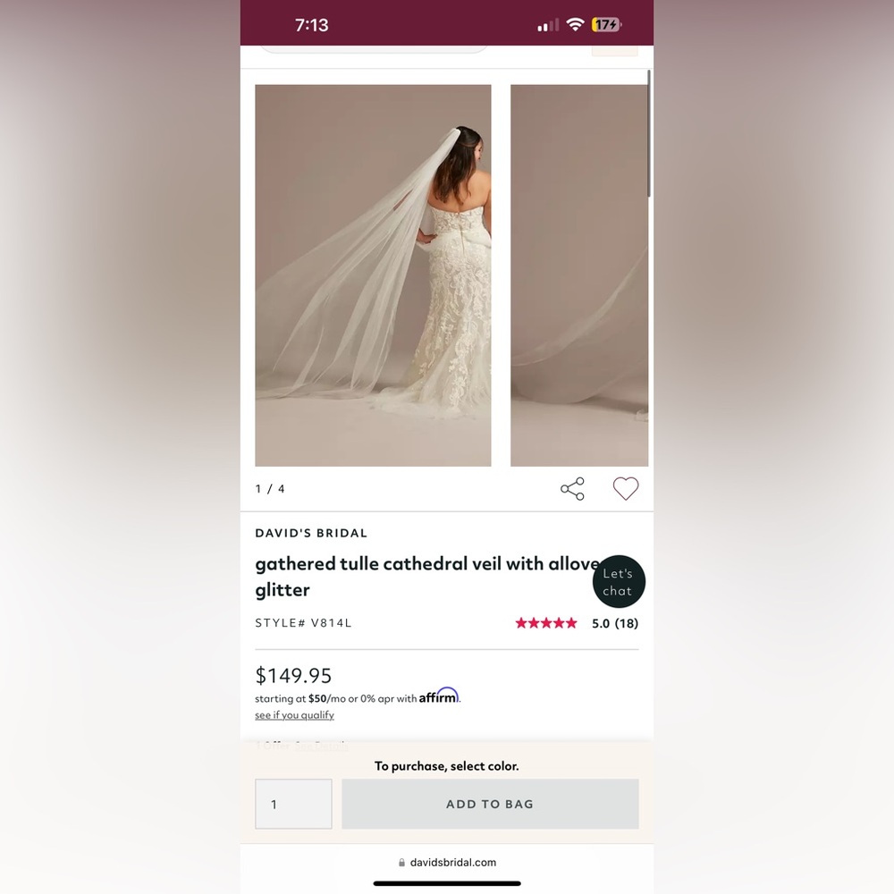 David’s Bridal Glitter Cathedral Veil NEVER WORN